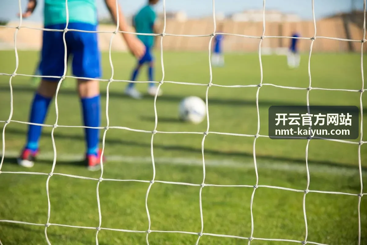 开云官方网站服务接入指南文档封面